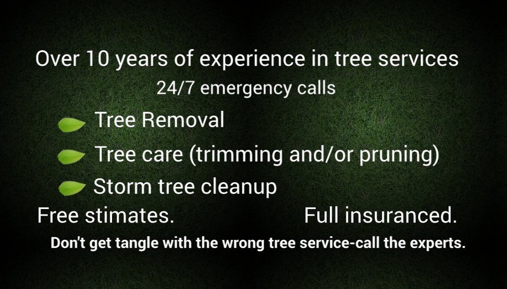 Two Brothers Tree Services 