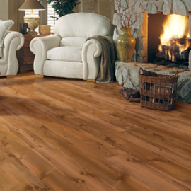 image of business Shop Save & Floor