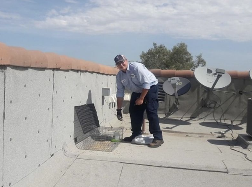 Burns Pest Elimination