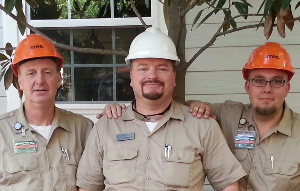 Affordable Tree Care