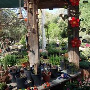 Avocado Nursery 75 Photos Nurseries Gardening 6855 N Beautiful Selection Of Photo Avocado Nursery Casa Grande Az United States