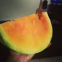 Pennington & Sons Melon Shed - Grocery - 812 N Market St ...