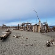 Navarro Beach Campground 46 Photos Campgrounds Hwy 128 1 Photo Of Navarro Beach Campground Ca United States
