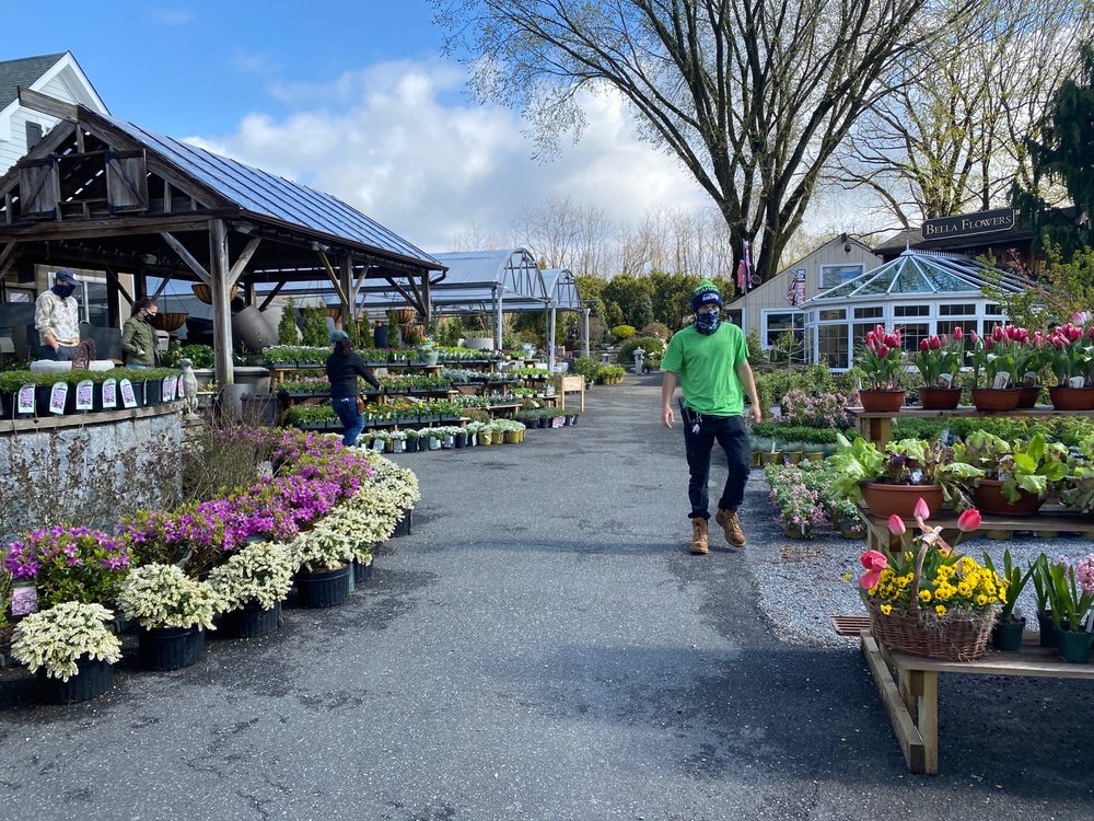 Main Street Nursery
