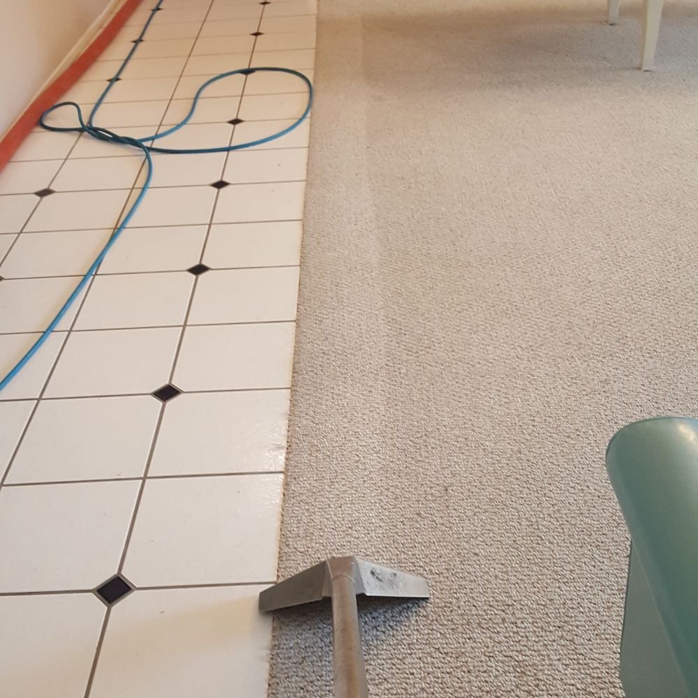 Spark Clean Brite - Carpet Cleaning & More