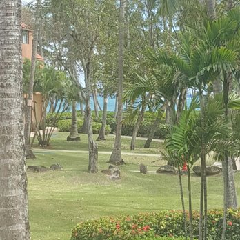 photo of wyndham garden at palmas del mar humacao puerto rico puerto rico - Wyndham Garden Palmas Del Mar photo of wyndham garden at palmas del mar humacao puerto rico puerto rico - Wyndham Garden Palmas Del Mar