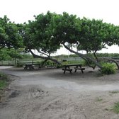 Hollywood North Beach Park 139 Photos 17 Reviews Parks 3601 Photo Of Hollywood North Beach Park Fl United States Shaded Picnic