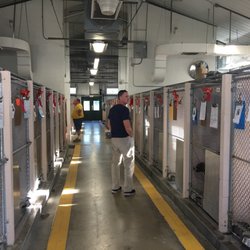 Collier County Domestic Animal Services - Animal Shelters - 7610 Davis