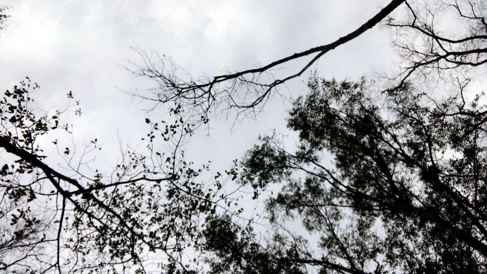 Tom Bass Regional Park 55 Photos & 25 Reviews Parks 3452 Fellows