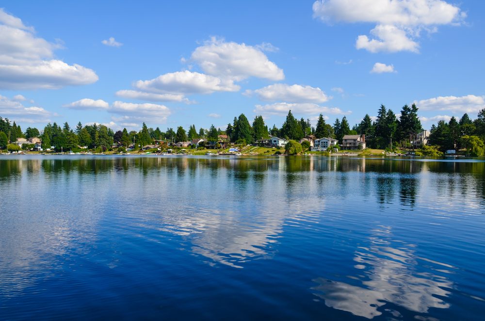 Community First Association Management