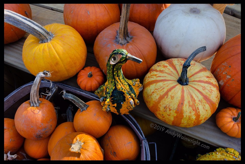 Saugerties Farmers Market