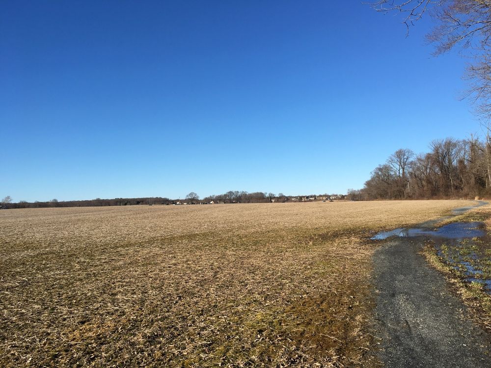 Swedes Run Dog Park Image