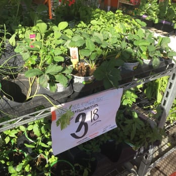 the home depot 22 photos 37 reviews hardware stores the home depot 22 photos 37 reviews hardware stores