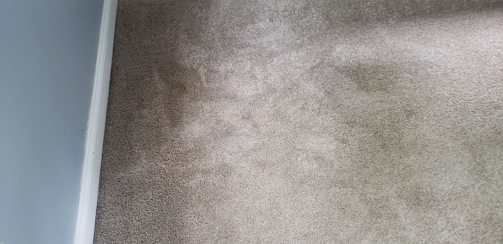 Heaven's Best Carpet Cleaning