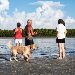 Dog Beach Park 81 Photos 31 Reviews Parks 8800 Estero Photo Of Dog Beach Park Fort Myers Fl United States Enjoying Low