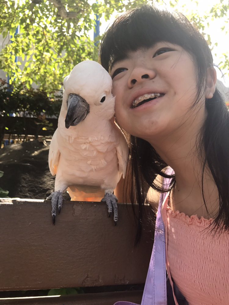 The Bird Guy 39 Photos Party & Event Planning 41202 Kalanianaole