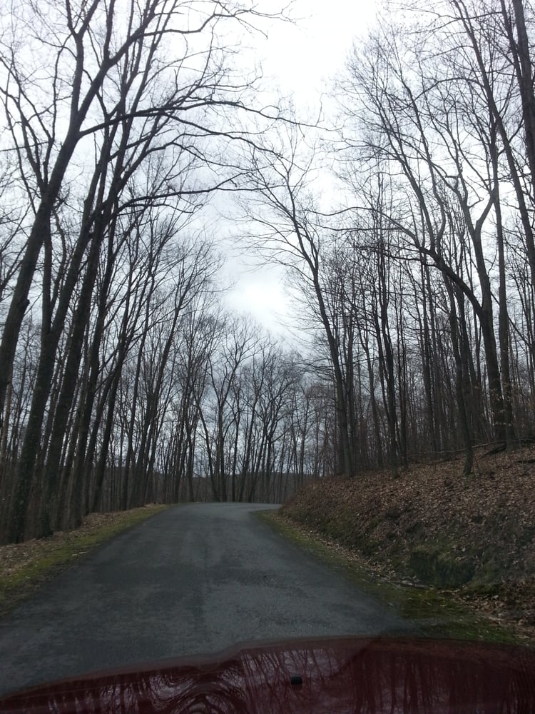 Pine Creek Gorge