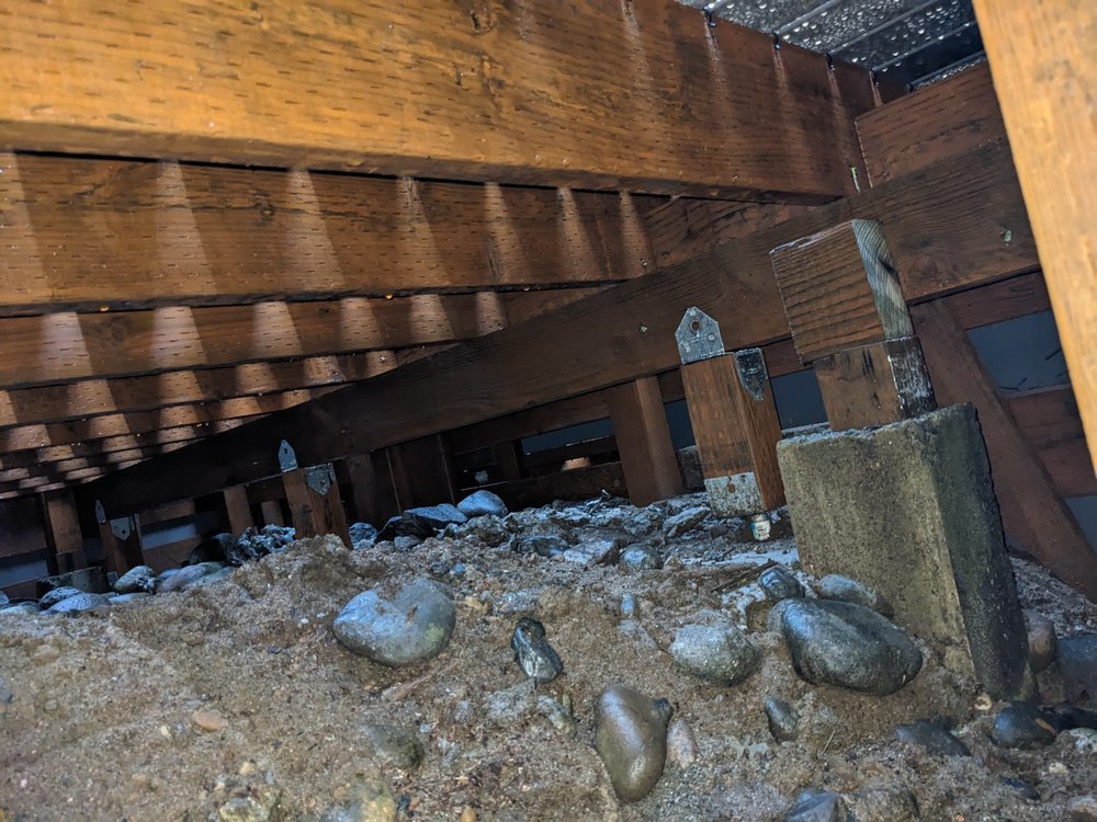 Bellevue Deck and Fence