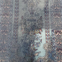 Alex Oriental Rug Specialist Carpet Cleaning 4119 Gunn Hwy Photo Of Alex Oriental Rug Specialist Tampa Fl United States Before And