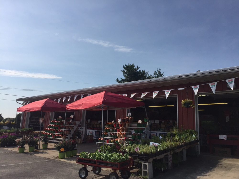 Rosie’s Farm Market 18 Reviews Farmers Market 317 Swedesboro Rd