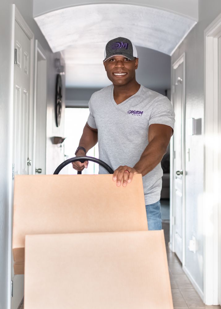 Digem Movers