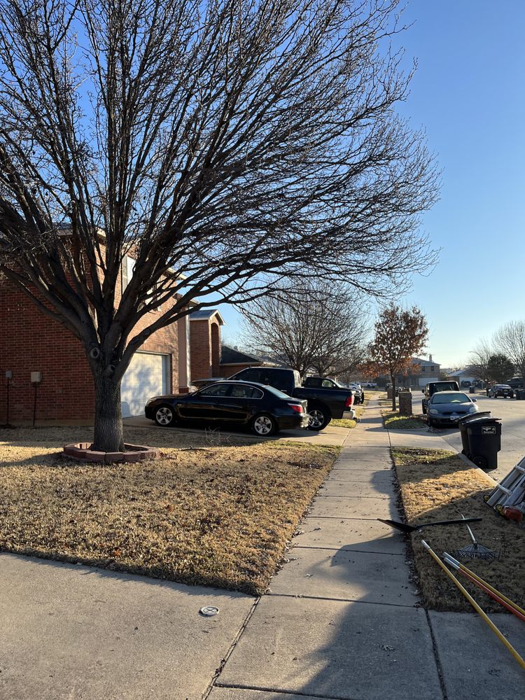 Alvarado Tree Service