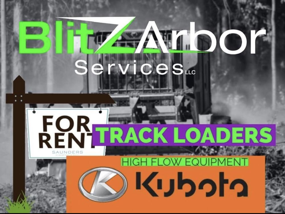 BlitzArbor Services
