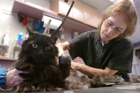 Trudy’s Pooch Parlor