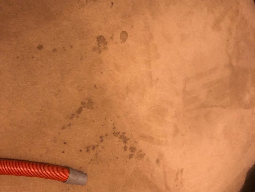 Optimus Carpet Cleaning