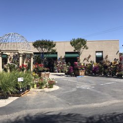 Louie S Nursery 92 Photos 57 Reviews Nurseries Gardening Photo Of Louie S Nursery Riverside Ca United States
