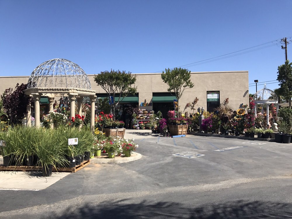 Louie’s Nursery 87 Photos & 54 Reviews Nurseries & Gardening