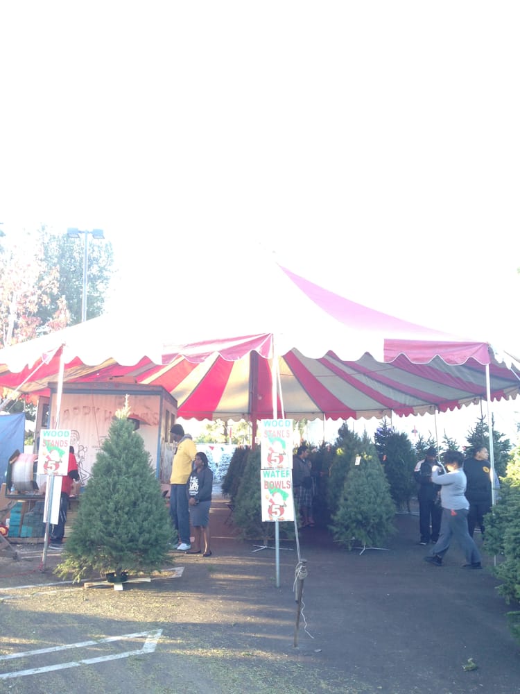 baldwin hills christmas tree lot 13 reviews christmas baldwin hills christmas tree lot 13 reviews christmas
