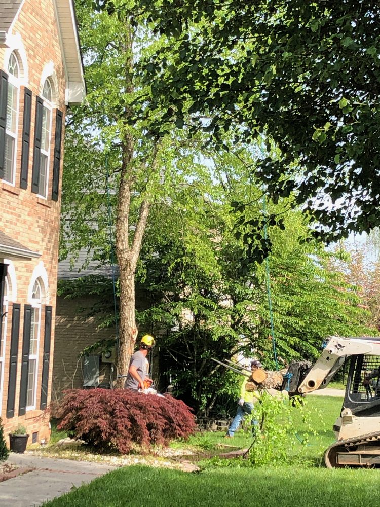 Mencer's Tree Service