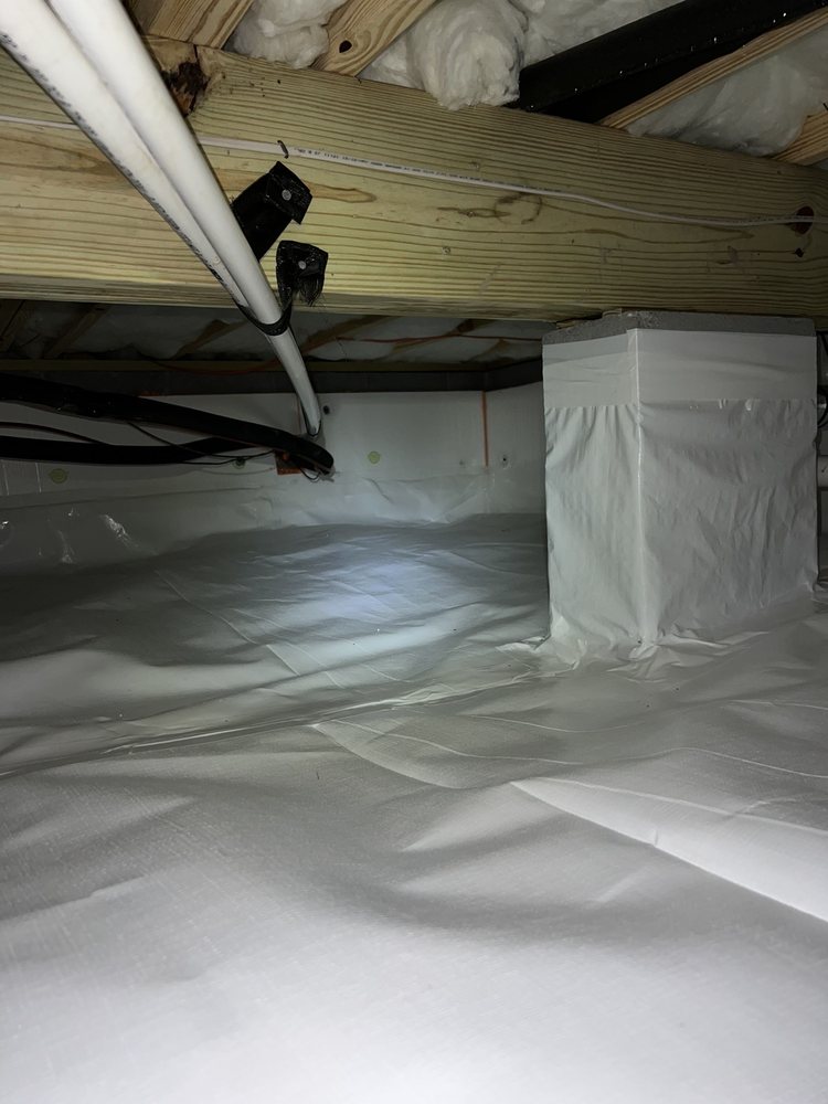 Allegiant Pest Control