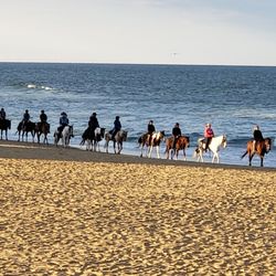 Virginia Beach Horseback 152 Photos 21 Reviews Virginia Beach Horseback 152 Photos
