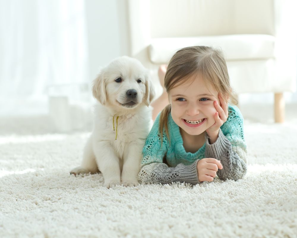 Safe-Dry® Carpet Cleaning