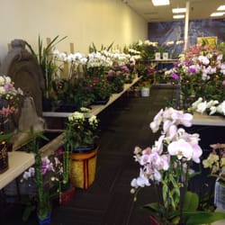 Orchid Barn Closed Nurseries Gardening 3071 W Shaw Ave Photo Of Orchid Barn Fresno Ca United States