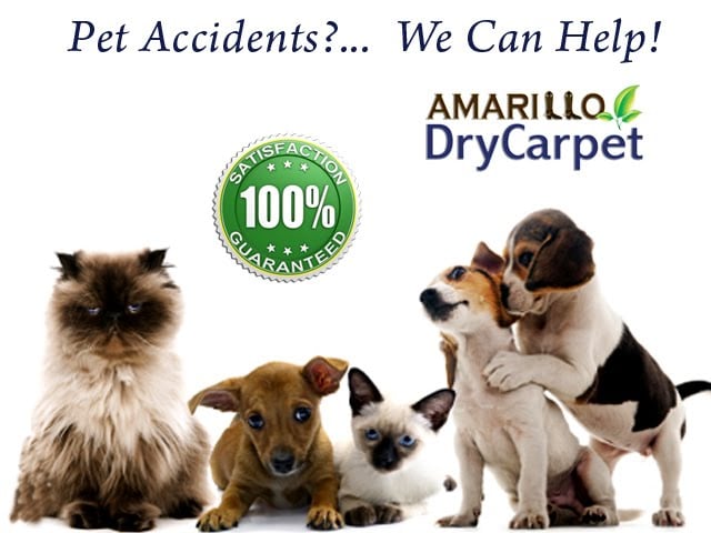 Amarillo DryCarpet Services