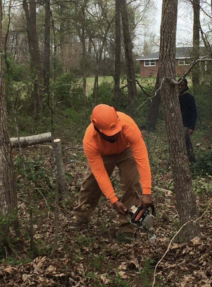 Wiley’s Landscaping & Tree Service