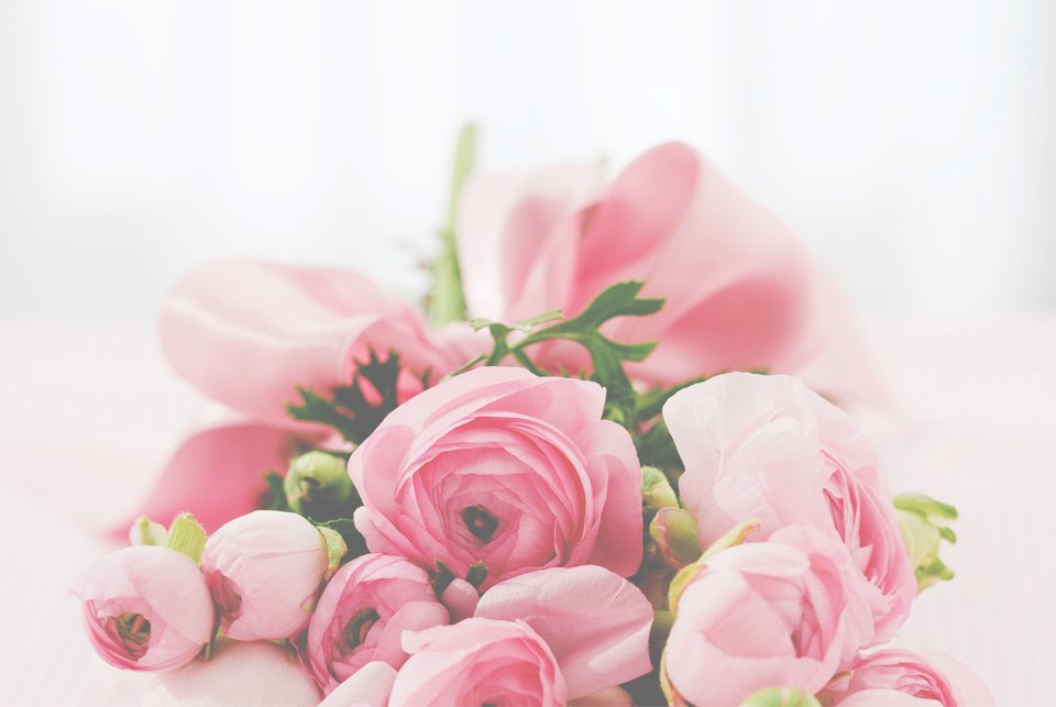 Fleur Story
