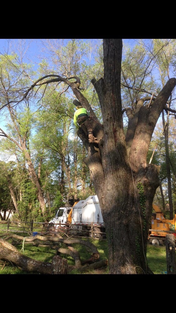 J & B Tree Service