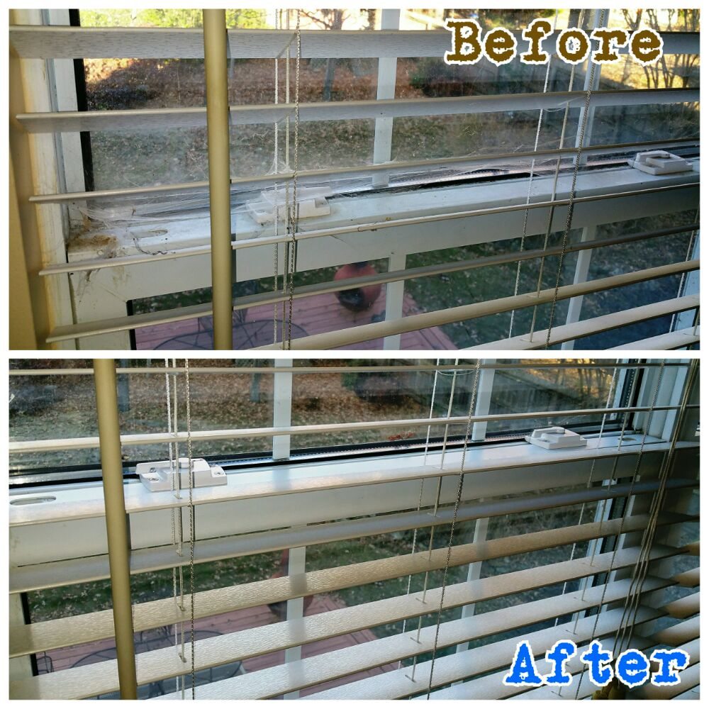 White Collar Cleaning