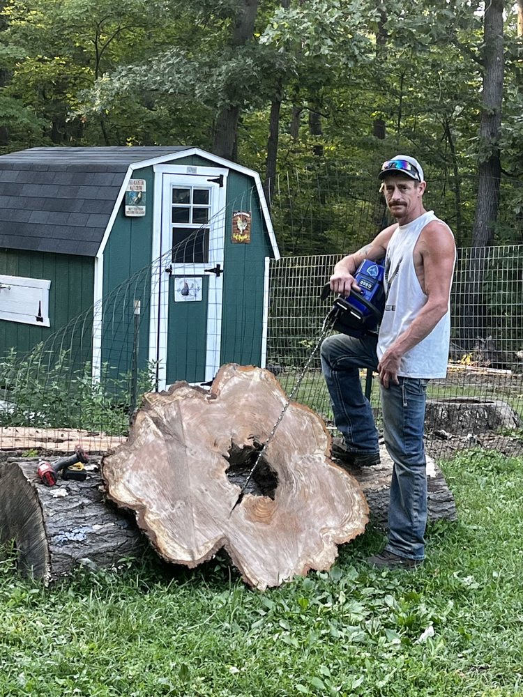 Log Art and Design