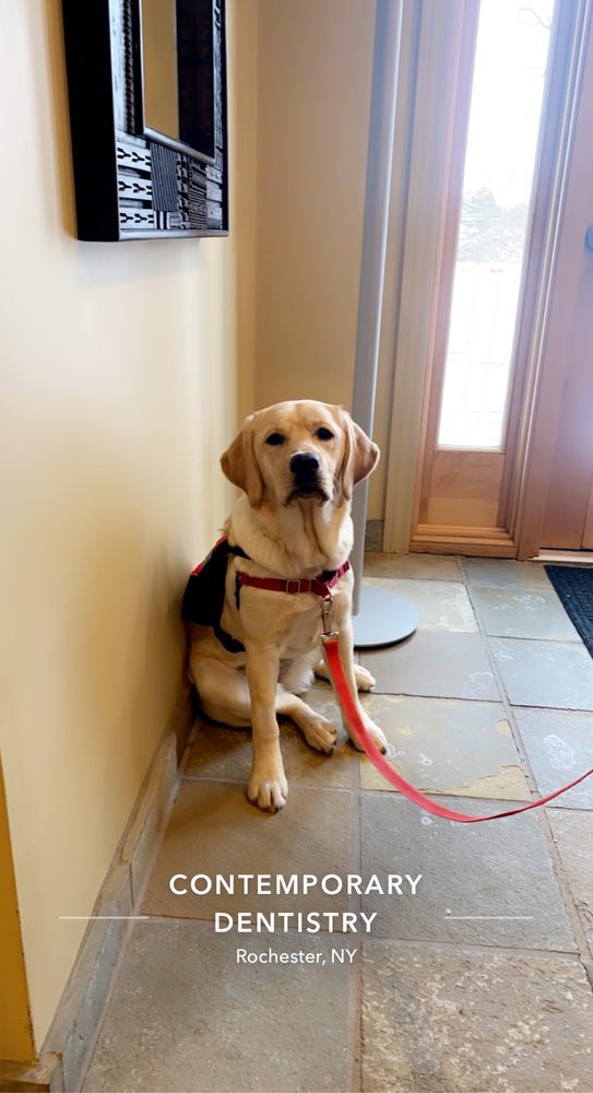 image of business Arlene Messer, DDS