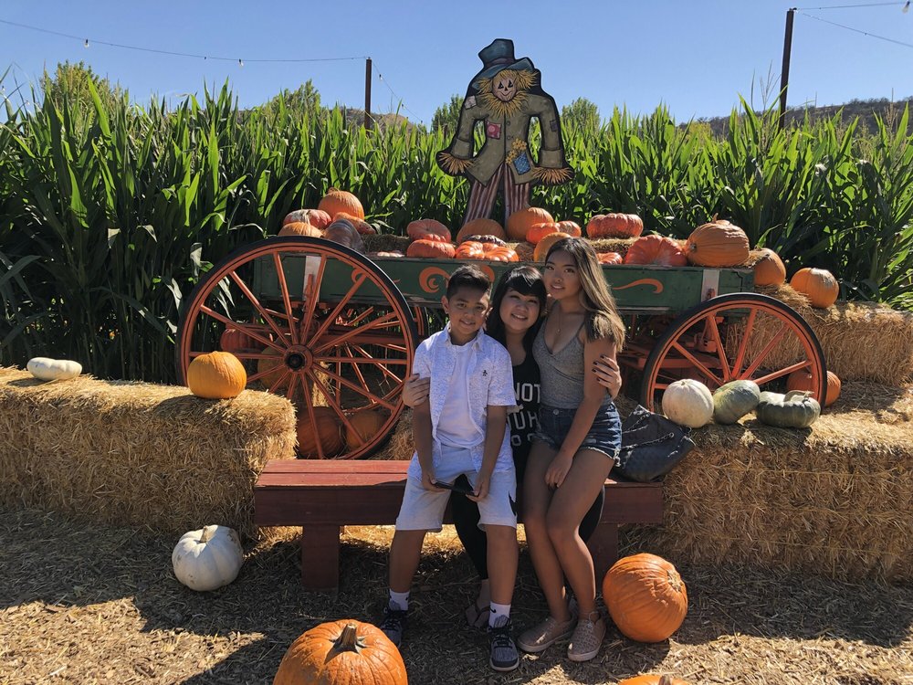 Live Oak Canyon Pumpkin Patch And Christmas Tree Farm - 576 Photos Live Oak Canyon Pumpkin Patch and Christmas Tree - Live Oak Canyon Pumpkin Patch And Christmas Tree Farm - 576 Photos