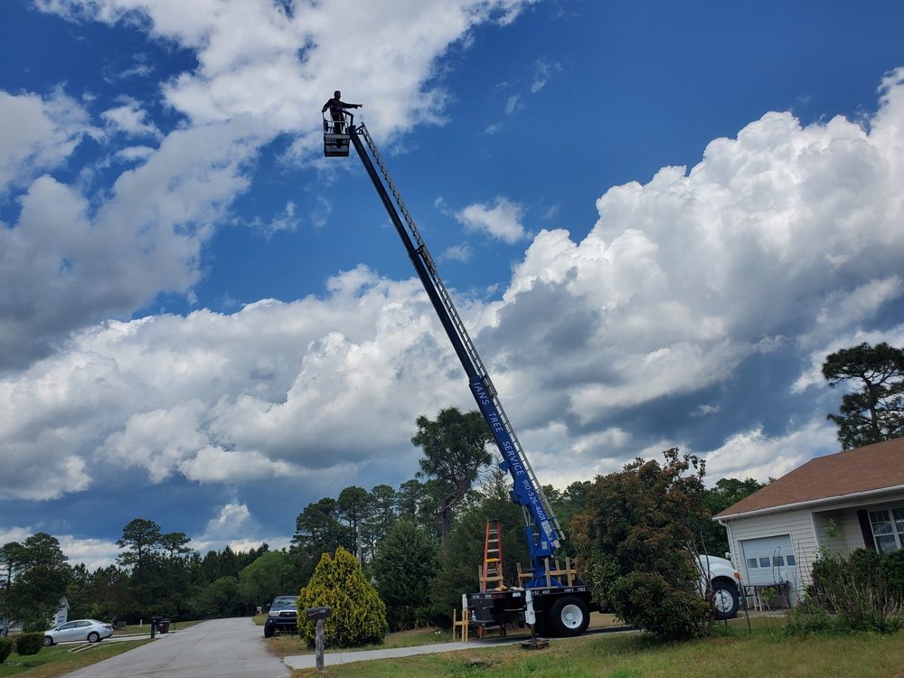 Ian's Tree Service