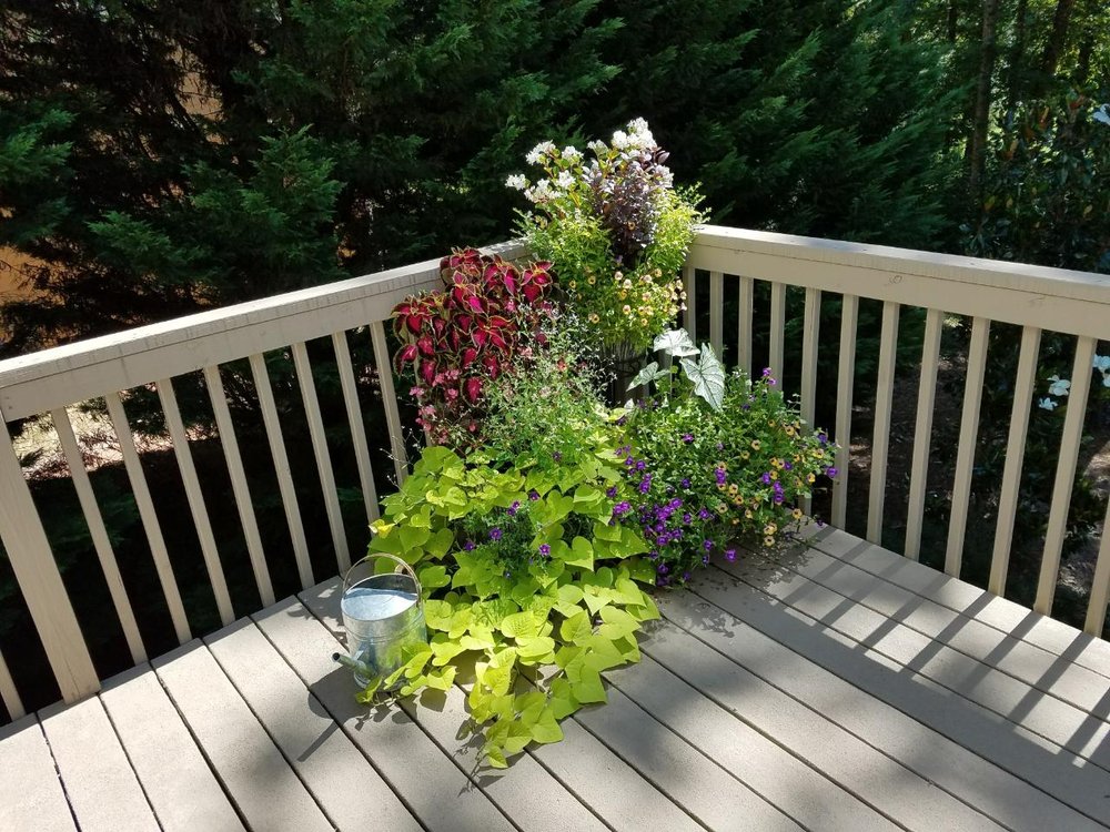 Outdoor Environments Nurseries Gardening 68 Zion Church Rd Outdoor Environments Nurseries Gardening 68 Zion Church Rd Braselton Ga Phone Number Yelp