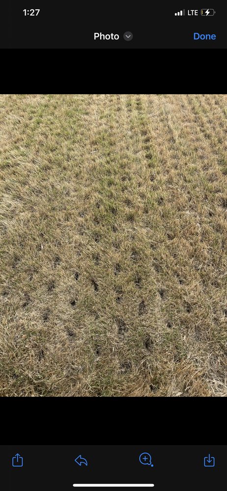 Kings Aeration