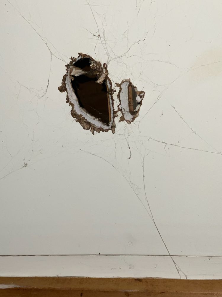 All American Home Rental Management