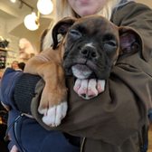 Photo of Boris & Horton - New York, NY, United States